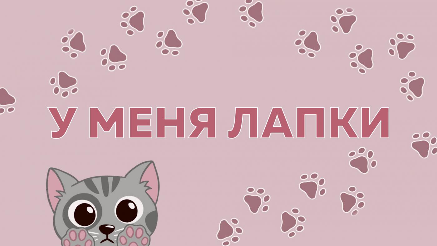 Голосование за победителя конкурса &quot;У меня лапки&quot; стартовало